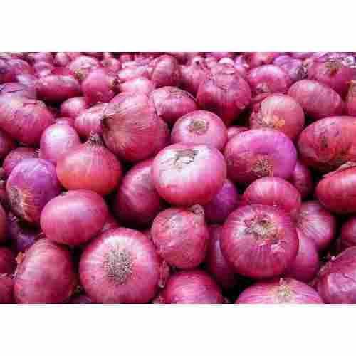 Superior Quality Red Onion