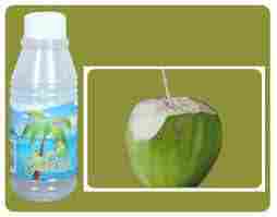 Packed Coconut Water Bottle