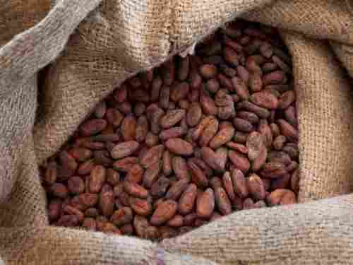 Grade A Cocoa Beans