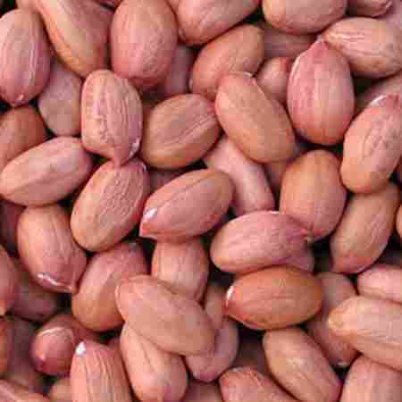 Raw and Blanched Peanuts