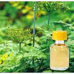 Angelica Floral Water
