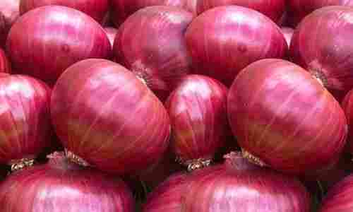 High Grade Red Onion