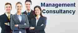 Management Consultancy Service