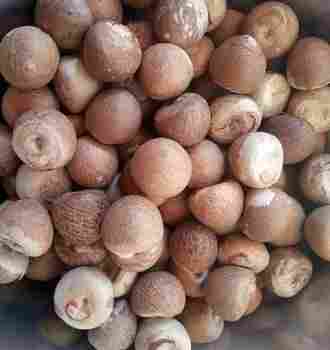 Betel Nuts (Areca Nuts)