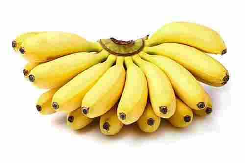 Pure Fresh Cavendish Bananas