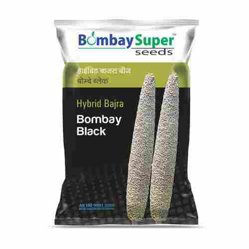 Bombay Black Bajra Seeds
