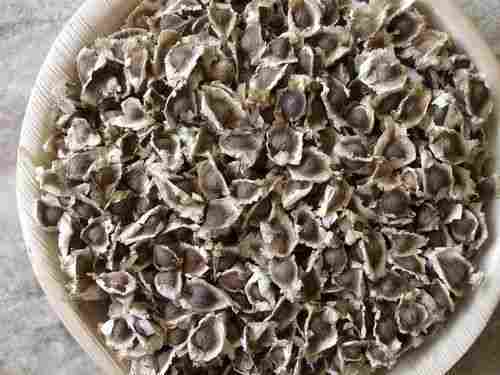 Fine Quality Moringa Oleifera Seed