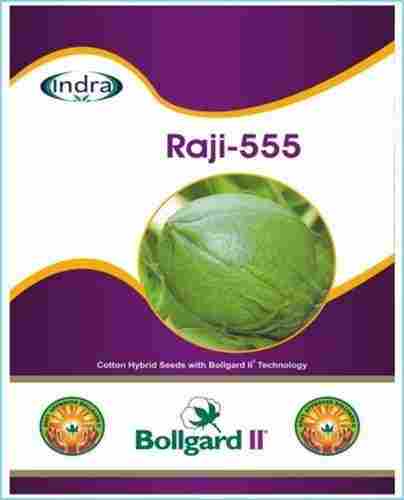 Raji 555 Hybrid Cotton Seed