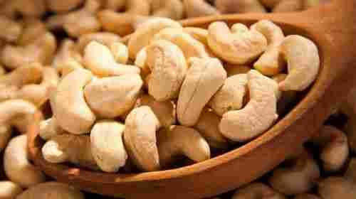 Fresh Raw Cashew Nuts