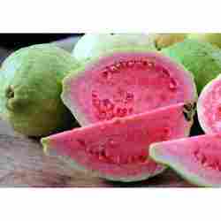 Fresh Red Guava Fruit