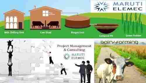 Dairy Farming and Management Infrastructure Consulting Service