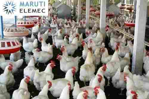 Prefab Poultry Farm Shed