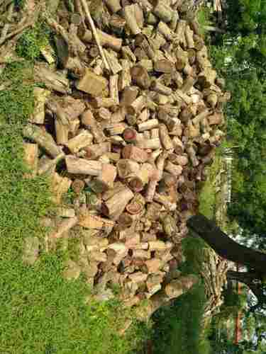 Pure Natural Dried Firewood