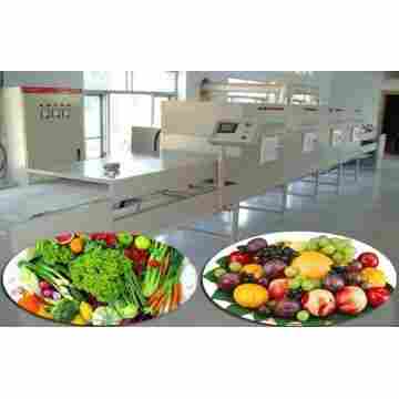 Dried Fruits & Nuts Microwave Sterilization Line