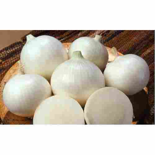 Organic Indian White Onions