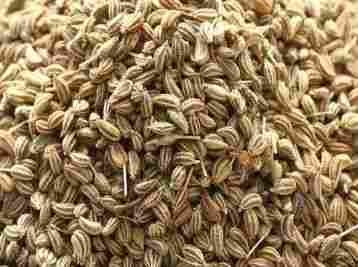 Reasonable Cleaned Ajwain Seeds