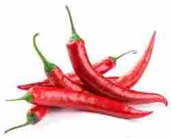 Premium Grade Chili Pepper