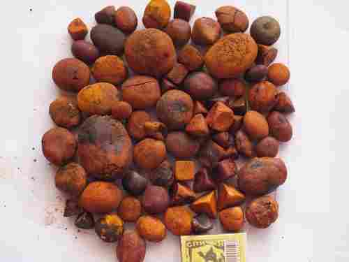 High Quality Ox And Cattle Gallstones