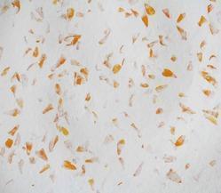 Marigold Petal Mottled Handmade Papers