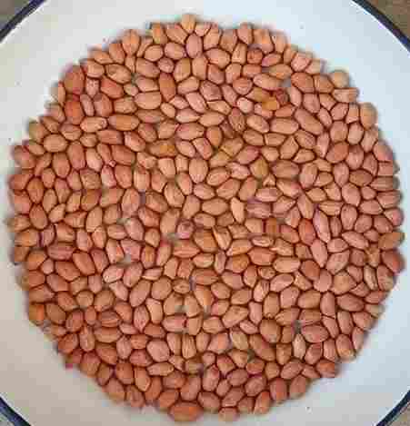 Pure Fresh Indian Peanut