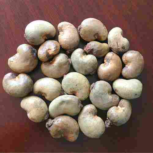 High Grade Raw Cashew Nut