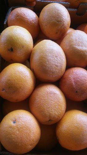 Yellow Fresh Navel & Valencia Oranges