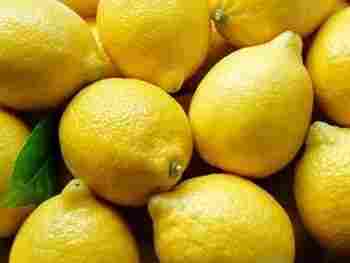 Premium Quality Fresh Lemon