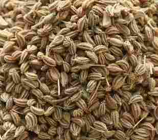 Rich In Nutrients Carom Seeds