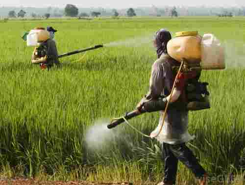 Insecticides For Agriculture