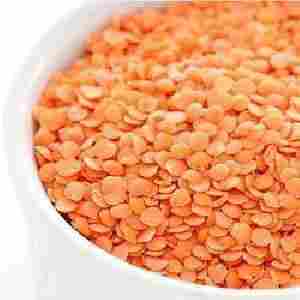 Low Price Red Lentil Pulses