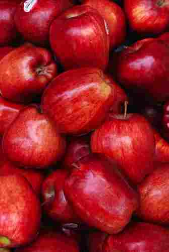 Organic Fresh Apple Fruit