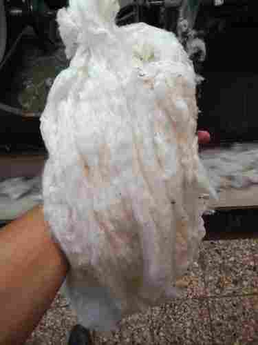 Egyption giza  Raw Cotton