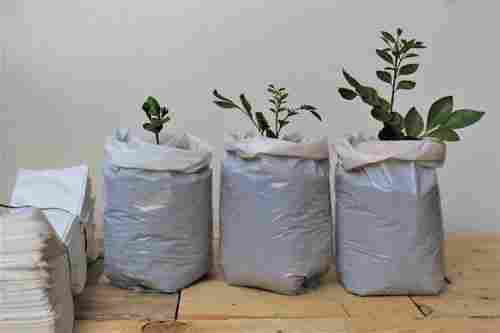 Biodegradable Nursery/Plantlet Bags