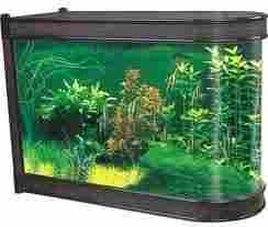 Glass Aquariums For Fishes