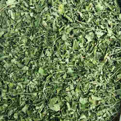Premium Moringa Dry Leaves