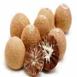 Premium Quality Areca Nut