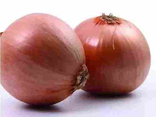 Round Fresh Cheap Onion