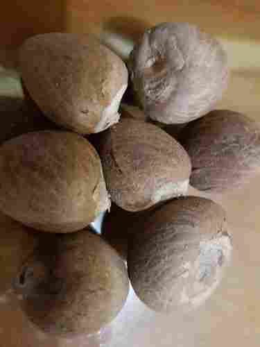 Areca Nut / Betel Nut