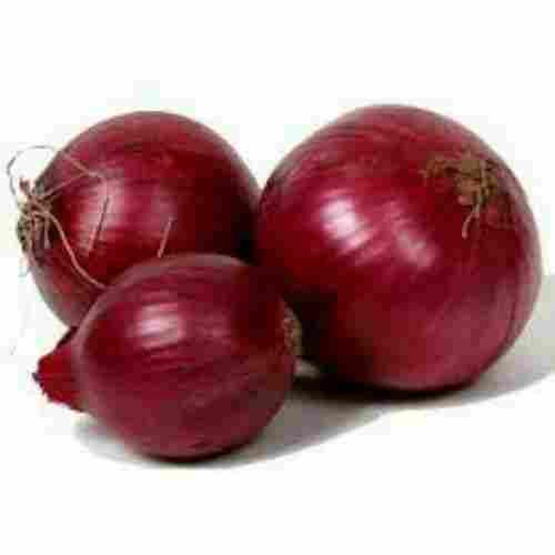 Fresh Organic Red Onion