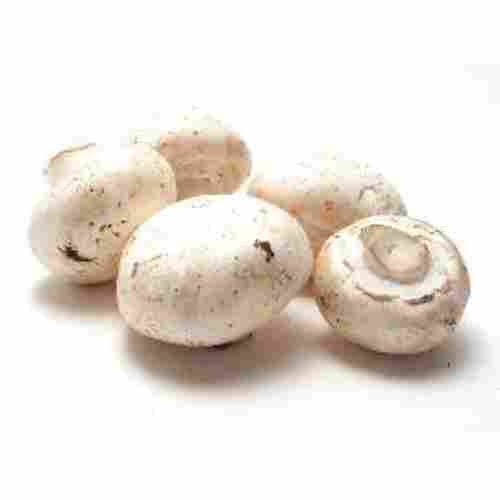 Organic White Fresh Mushrooms