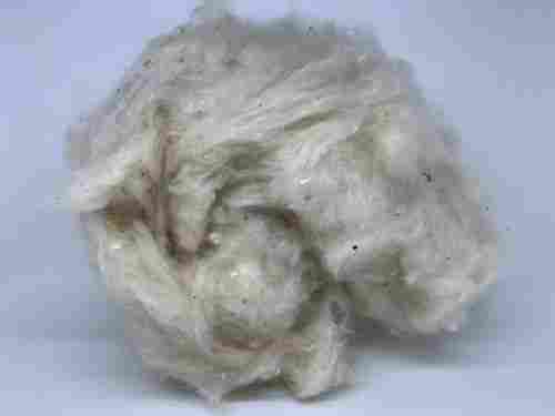 A Grade Kapok Cotton