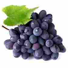 Fresh Common Black Graps