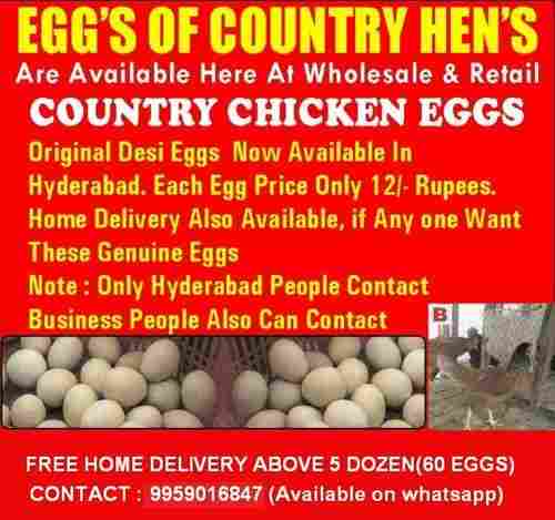 Fresh Country Chicken Eggs Desi