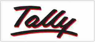 Tally Accounting Software Services