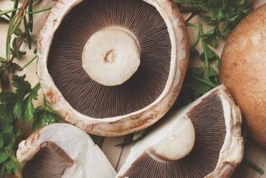 Fresh Organic Portobello Mushrooms