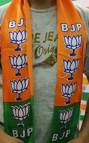Rectangle Printed Bjp Flag Use: Advertising
