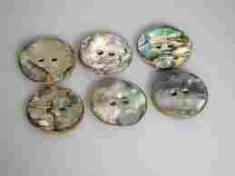 Solid Colorful Abalone Buttons