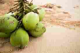 100% Natural Fresh Coconut