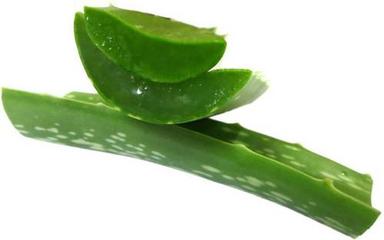 Herbal Aloe Vera Leaf