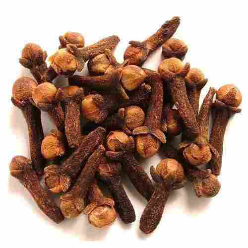 Natural Dried Clove Seeds